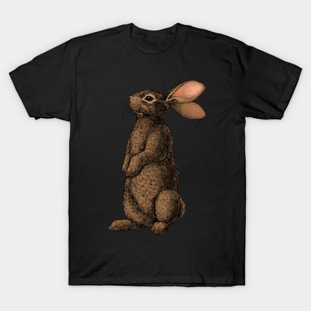 Rabbit T-Shirt by katerinamk